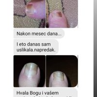 Recenzija fungi 2