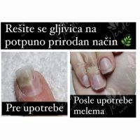 Recenzija fungi 1